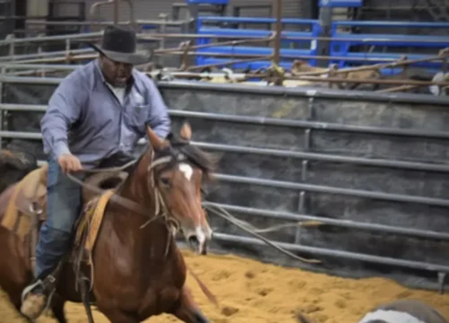 Why Horse Camps Make the Best Summer Adventures