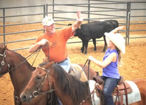 From First Ride to First Sort: A Beginner’s Guide to Building Ranch Sorting Skills