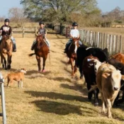 Texas Trail Ride