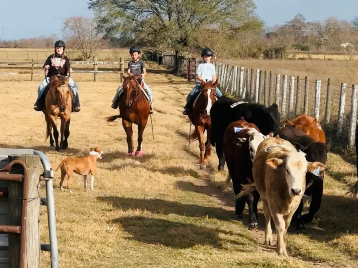 Texas Trail Ride
